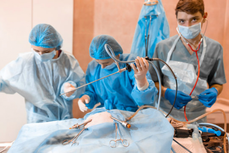Cirurgia Castração Animal Cinelândia - Cirurgia Veterinária com Anestesia Inalatória