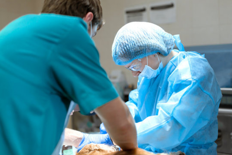 Cirurgia Veterinária Básica Queimados - Cirurgia Veterinária com Anestesia Inalatória