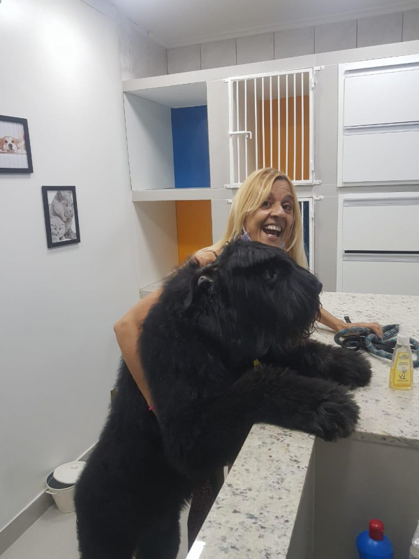 Serviço de Pet Shop Banho e Tosa Vasco da Gama - Banho e Tosa Perto de Mim Flamengo