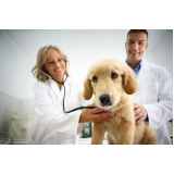 cardiologista para cachorro Leblon