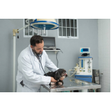 cardiologista para cachorros e gatos Queimados