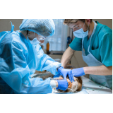cirurgia de castração de pequenos animais agendar Itaguaí