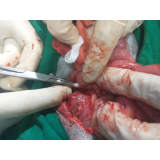 Cirurgia Veterinária com Anestesia Inalatória