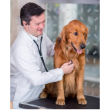 clínica especializada em exame de sangue em animais Saúde