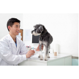 clínica especializada em exame de urina de cachorro Saúde