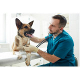 clínica especializada em exames laboratoriais animais Benfica