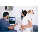 clínica especializada em exames para animais Catumbi