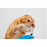 clínica para vacina contra raiva felina Itaperuna