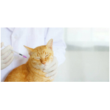 clínica para vacina para gatos fiv e felv Resende