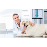 clínica que faz exame de urina de cachorro Resende