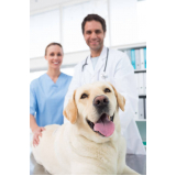 clínica que faz exames laboratoriais para animais Lapa