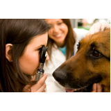 clínica veterinária oftalmologia Cidade Nova