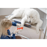 clínica veterinária para cães telefone Glória