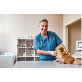 contato de clínica veterinária de especialidade Copacabana