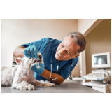 contato de clínica veterinária para gatos idosos Leblon