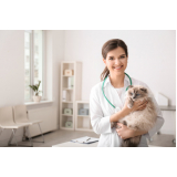 contato de dermatologista para gatos e cachorro Lapa