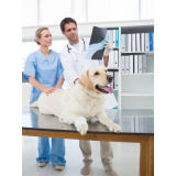 Exames Laboratoriais para Animais