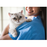 Oncologia Veterinária para Gatos