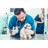 onde faz aplicação de vacina para cachorro v10 Saúde