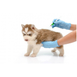 vacina contra leishmaniose canina valor Vidigal