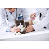 vacina de gato preço Rio Comprido