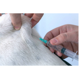 vacina em filhote de cachorro valor Barra do Piraí