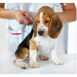 vacina para cachorro valor Lapa