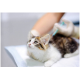 vacinação com vacinas importadas para animais Niterói