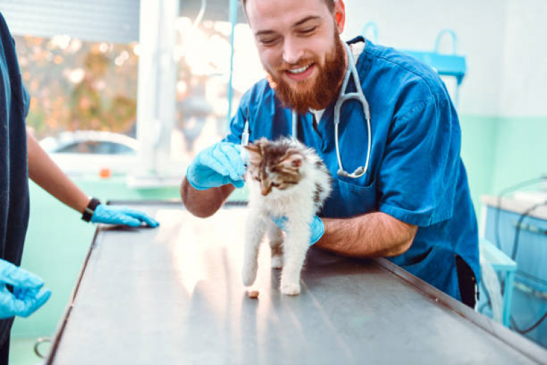 Vacina para Sarna em Cachorro Catete - Vacinas para Animais Domésticos Catete