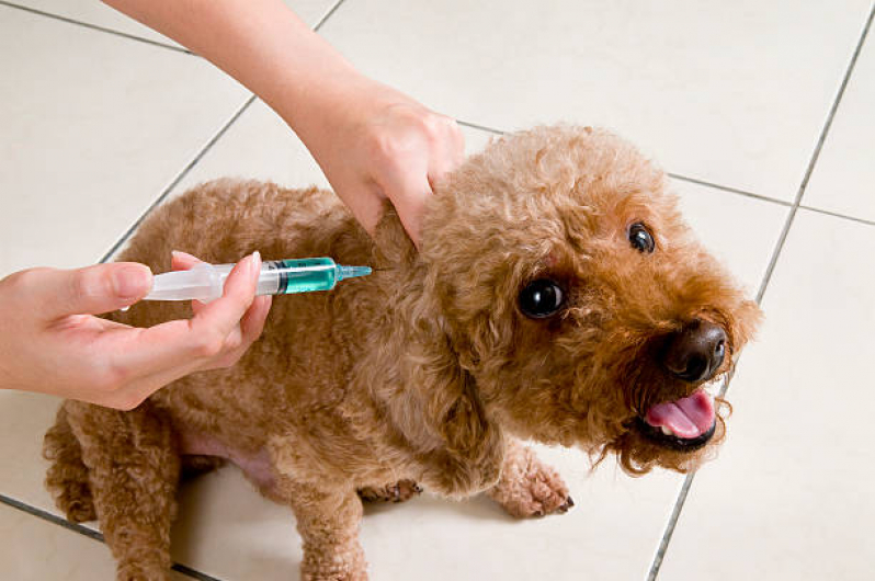 Vacina V10 para Cachorro Queimados - Vacina em Filhote de Cachorro